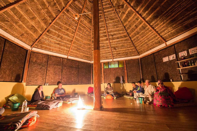 Ayahuasca in the Amazon Rainforest