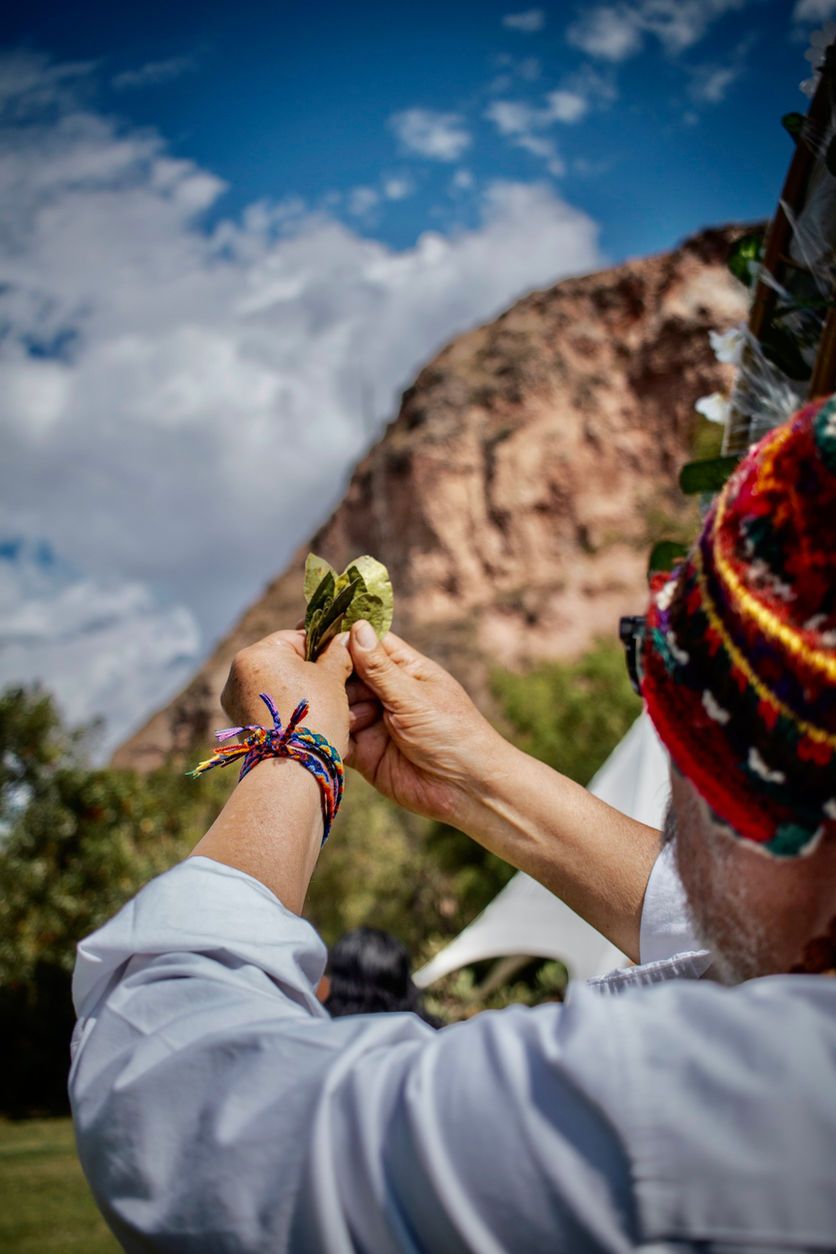 diet ayahuasca