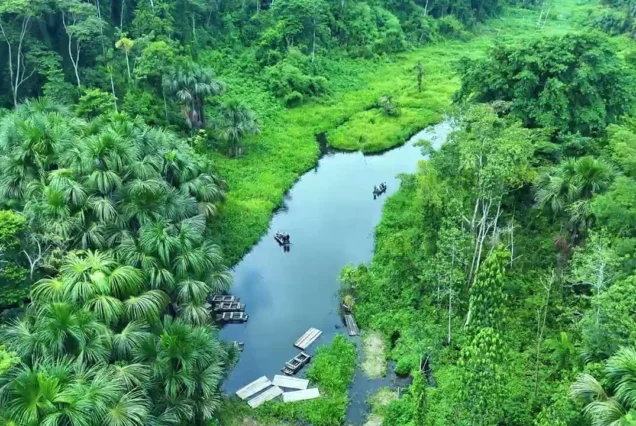 Ayahuasca Retreat in Cusco 5D/4N