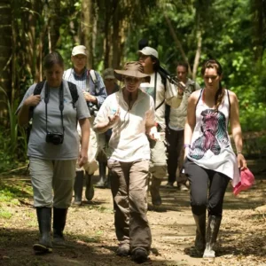 Manu Rainforest Tour 4D/3N